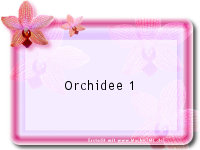 kostenloses Design Orchidee mit dem Generator bearbeiten